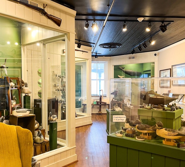 Atlantic Wildfowl Heritage Museum (Virginia&nbspBeach,&nbspVA)